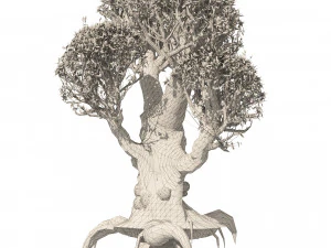 Ancient Olive Tree 3D Model