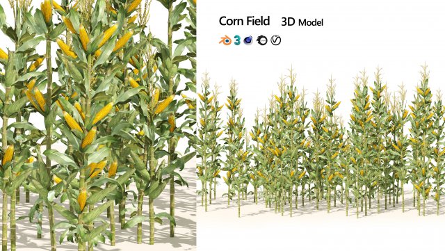 Corn cluster Modelo 3D .c4d .max .obj .3ds .fbx .stl .blend 