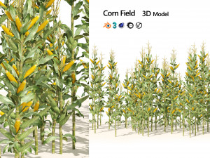 Corn cluster 3D Model