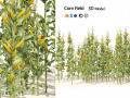 Corn cluster Modello 3D