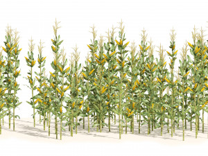 Corn cluster Modelo 3D