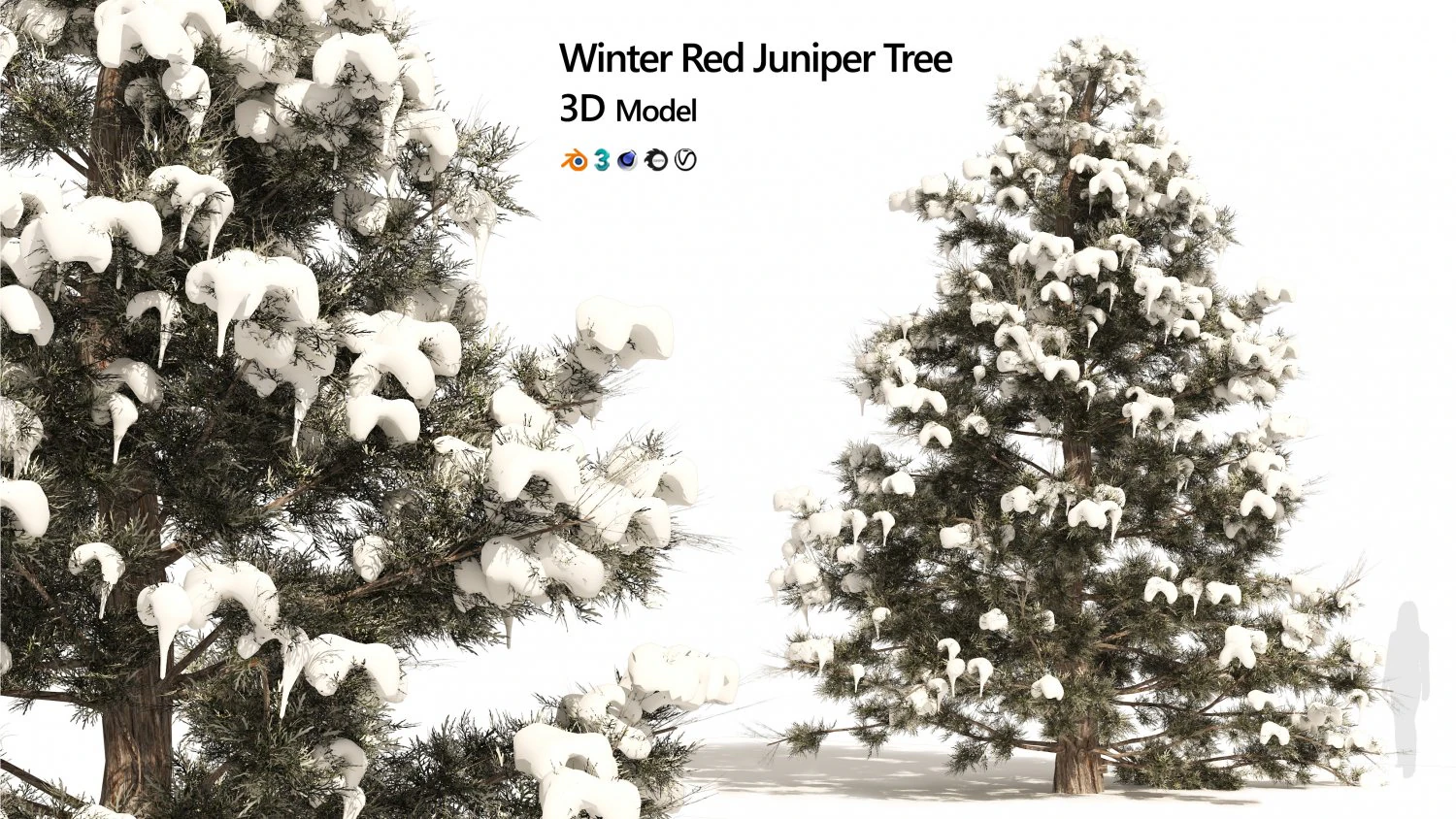 Inverno Juniperus virginiana com neve Modelo 3D .c4d .max .obj .3ds .fbx .stl .blend 