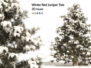 Winter Juniperus virginiana with snow 3D Model