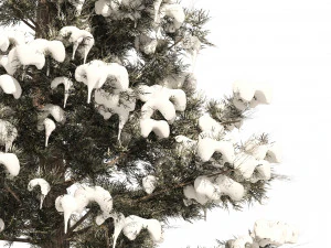 Inverno Juniperus virginiana com neve Modelo 3D