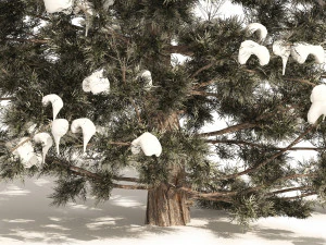 Inverno Juniperus virginiana com neve Modelo 3D