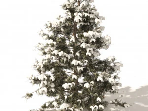 Inverno Juniperus virginiana com neve Modelo 3D