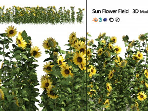 Sunflower Field 3D Model