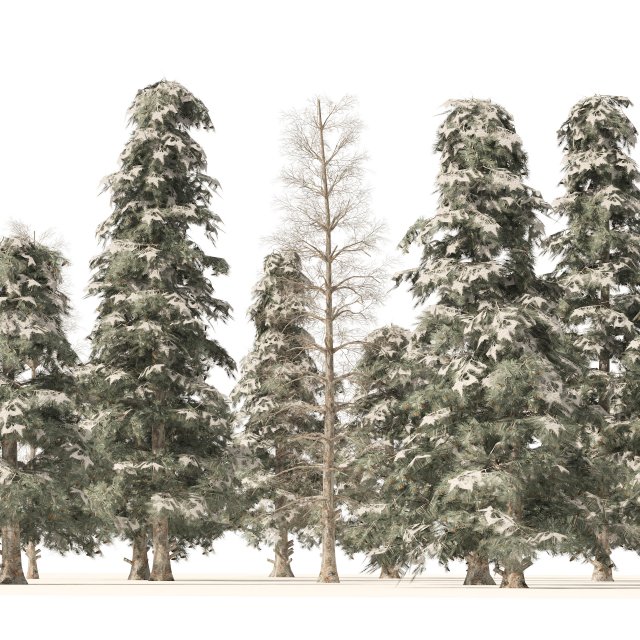 Winter green spruce forest 3D Model .c4d .max .obj .3ds .fbx .stl .blend