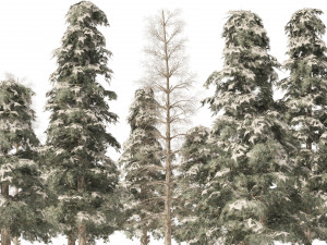 Winter green spruce forest 3D Model