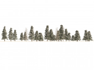 Winter green spruce forest 3D Model