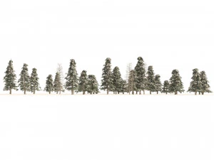 Winter green spruce forest 3D Model
