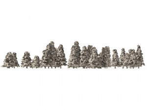 Winter green spruce forest 3D Model