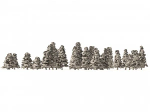 Winter green spruce forest 3D Model