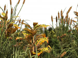 Bah&ccedil;e bitkileri seti 3D Model