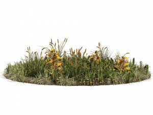 Garden plants set Modelo 3D