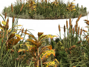 Garden plants set Modelo 3D