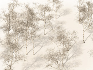 Winter paper birch tree forest Modelo 3D