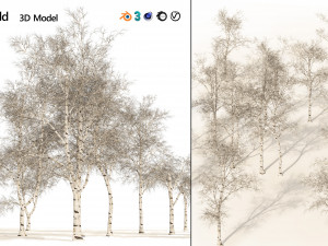 Winter paper birch tree forest Modelo 3D
