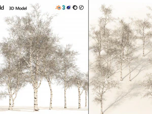 Winter paper birch tree forest 3D Model