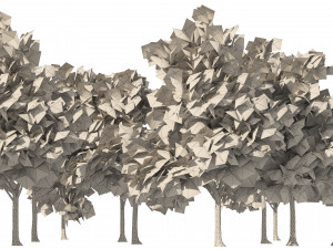 Winter paper birch tree forest Modelo 3D
