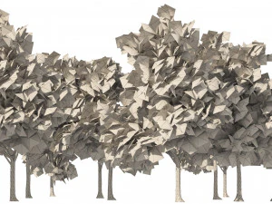 Winter paper birch tree forest 3D Model