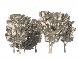 Winter and fall oak trees 3D Model
