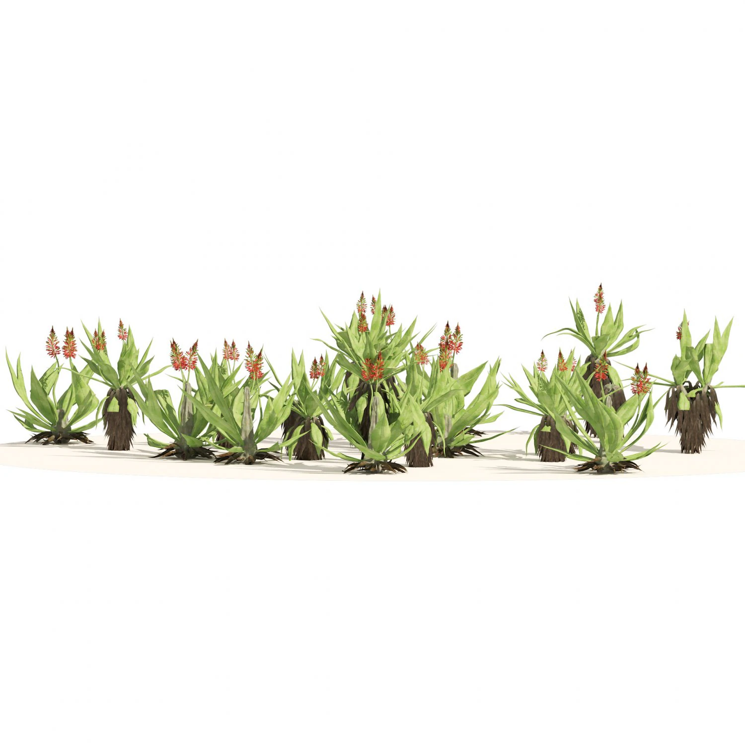 Aloe Vera Cluster 3D Model .c4d .max .obj .3ds .fbx .stl .blend 