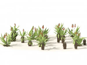 Aloe Vera Cluster 3D Model