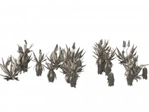 Aloe Vera Cluster 3D Model