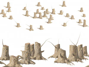 Tree stump field 3D Model