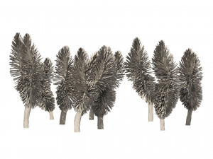 Dracaena Draco trees 3D Model