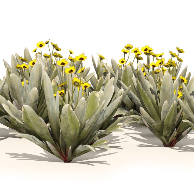 Ruilopezia Flower cluster Modèle 3D .c4d .max .obj .3ds .fbx .stl .blend 