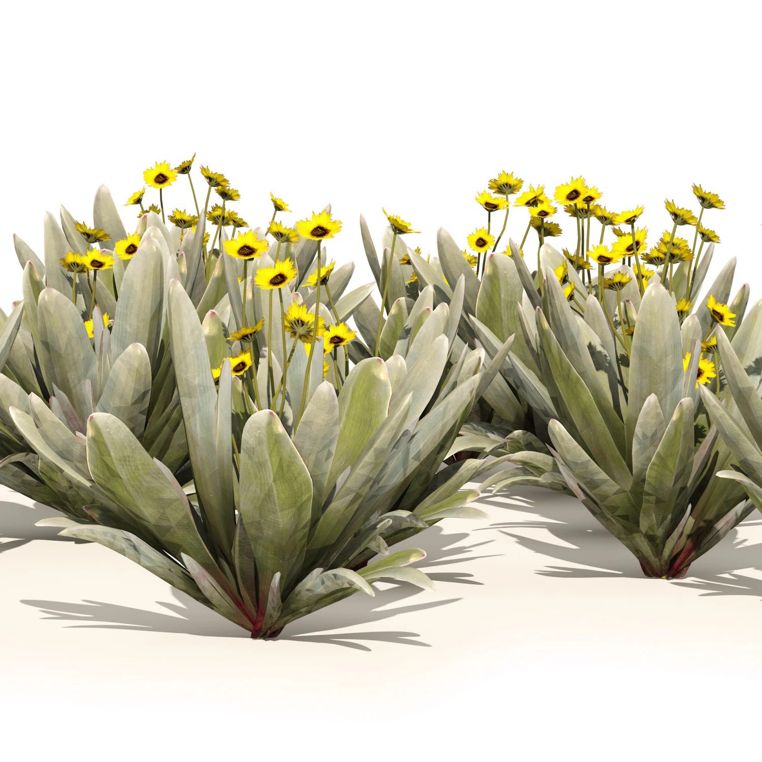 Ruilopezia Flower cluster 3D Model .c4d .max .obj .3ds .fbx .stl .blend 