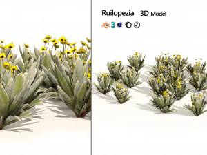 Ruilopezia Flower cluster 3D Model
