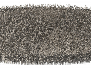 Young Wheat Field Modello 3D