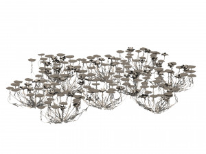 Aquatic lotus flower 3D Model