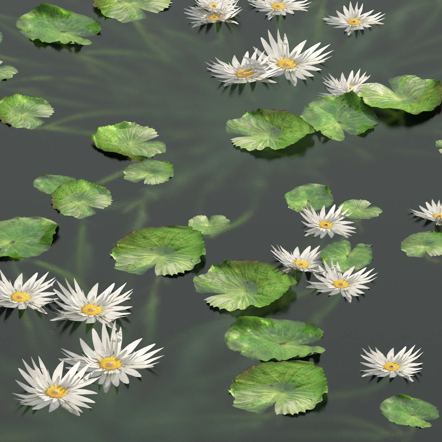 Water lily flower 3D Model .c4d .max .obj .3ds .fbx .stl .blend 