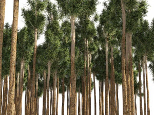 Rosengummi-Waldbaum 3D Modell