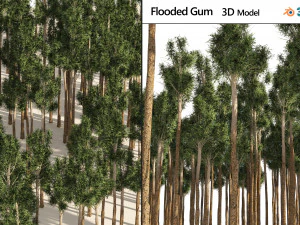 Rose gum forest tree 3D Model