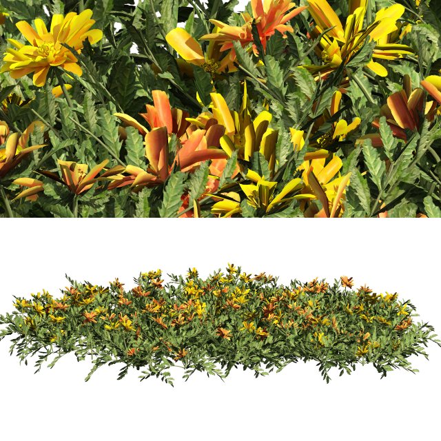 Yellow Orange Marigold Flowers Cluster 3D Model .c4d .max .obj .3ds .fbx .stl .blend 