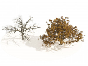 Fall and winter Water Elm Trees 3D 模型