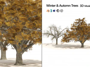 Fall and winter Water Elm Trees 3D Model