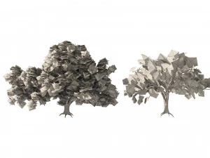 Fall and winter Water Elm Trees 3D Model