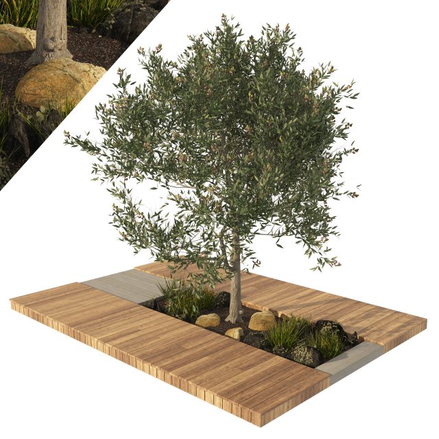 Olive tree with wood deck planter 3D मॉडल .c4d .max .obj .3ds .fbx .stl .blend 