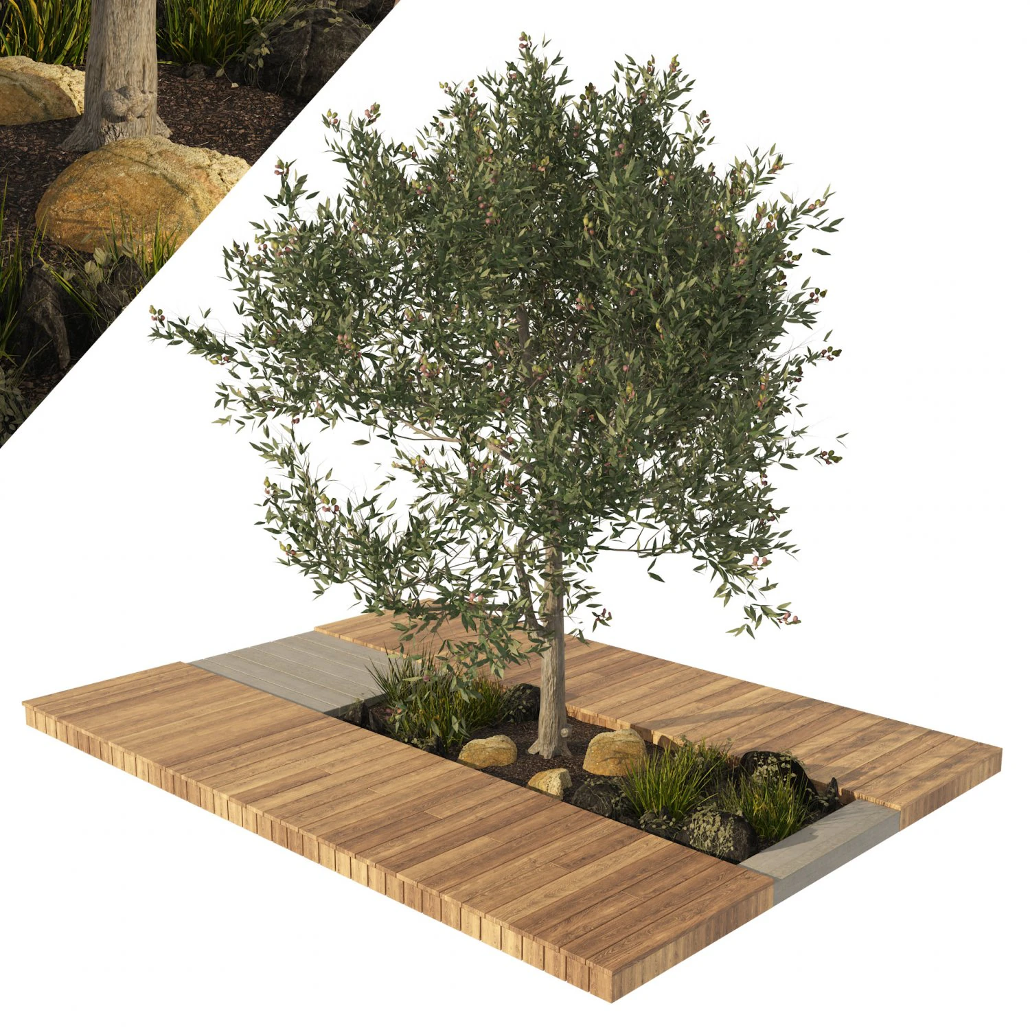 Olive tree with wood deck planter 3D Model .c4d .max .obj .3ds .fbx .stl .blend 
