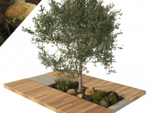 Olive tree with wood deck planter 3D Model