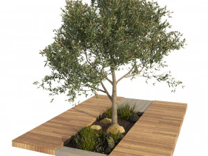 Olive tree with wood deck planter 3D Model