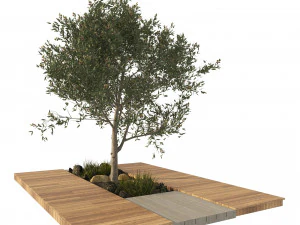 Olive tree with wood deck planter 3D Model