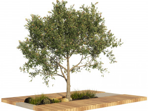 Olive tree with wood deck planter 3D मॉडल