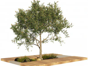 Olive tree with wood deck planter 3D Model